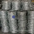 Hot-Dipped Galvanized Double Strand Carbon Steel Barbed Wire